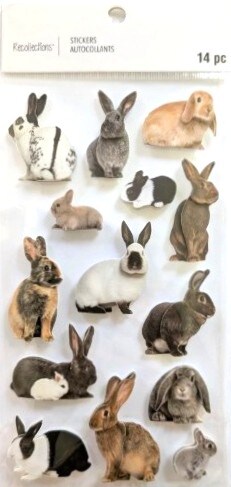 Recollections Rabbits Dimensional Stickers - SCRAPBOOKFARE