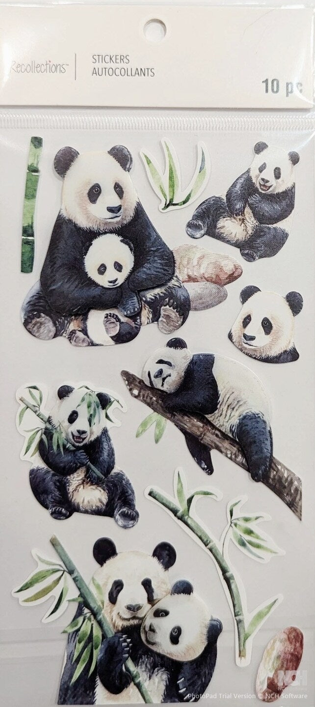 Recollections Pandas Dimensional Stickers - SCRAPBOOKFARE