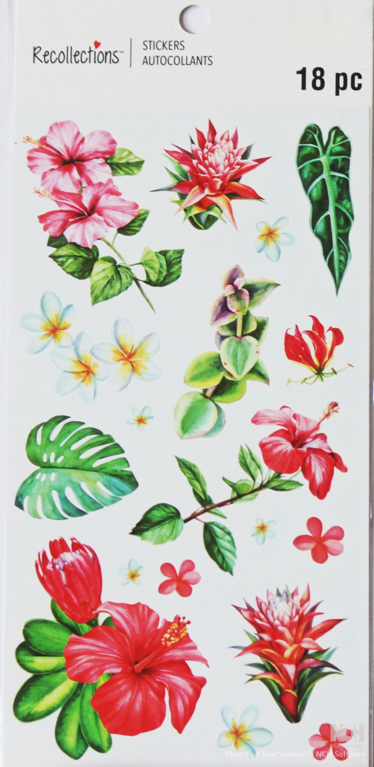 Recollections Tropical Plants Stickers - SCRAPBOOKFARE