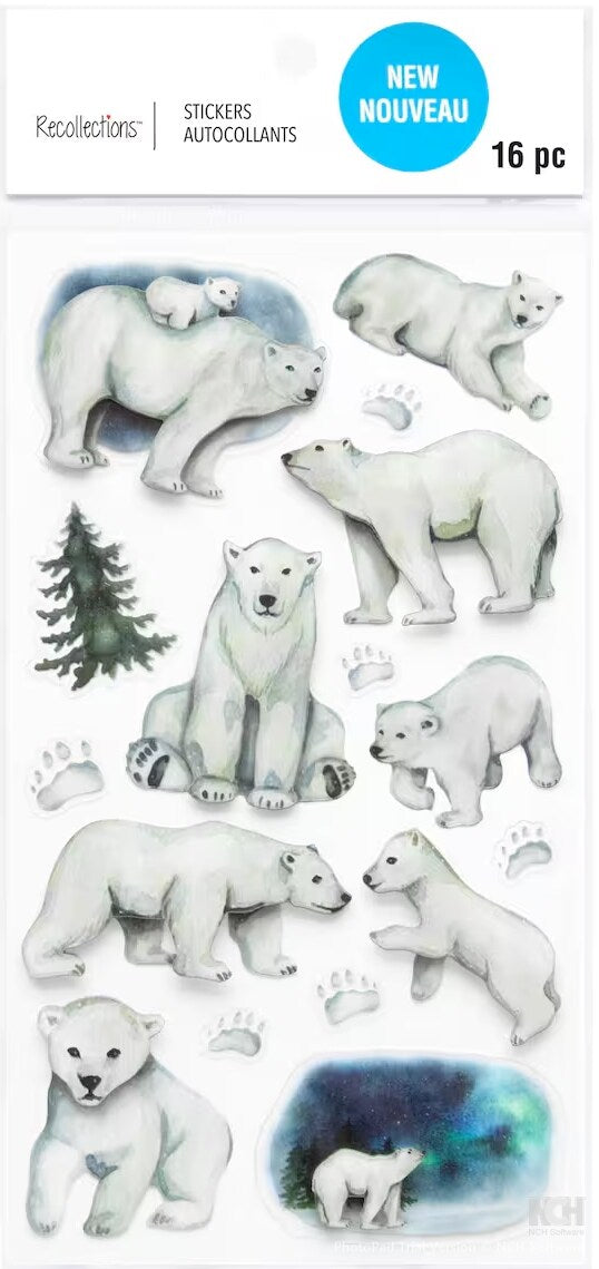 Recollections Polar Bears Dimensional Stickers - SCRAPBOOKFARE