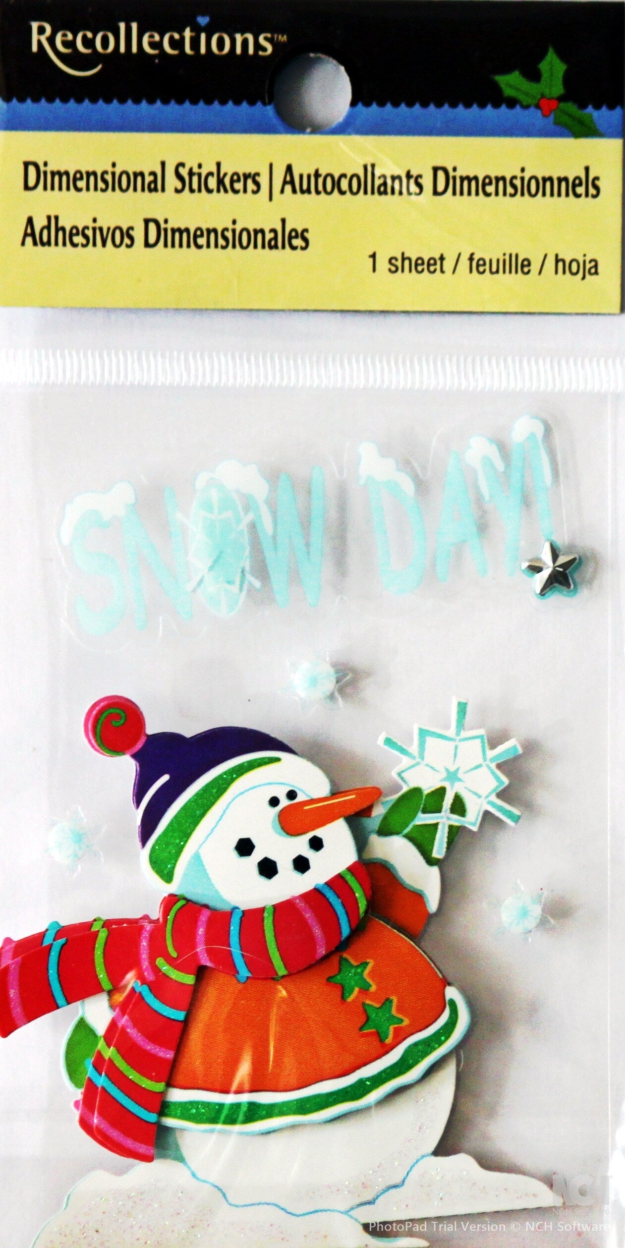 Recollections Vintage Christmas Snow Day Dimensional Stickers - SCRAPBOOKFARE