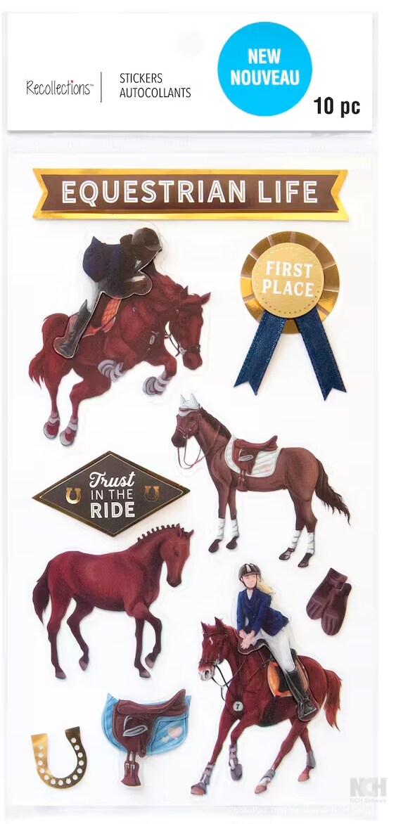 Recollections Equestrian Life Dimensional Stickers - SCRAPBOOKFARE