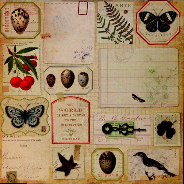 K & Company Brenda Walton Flora & Fauna Botanical Ephemera Cut-Outs Embellishments - SCRAPBOOKFARE