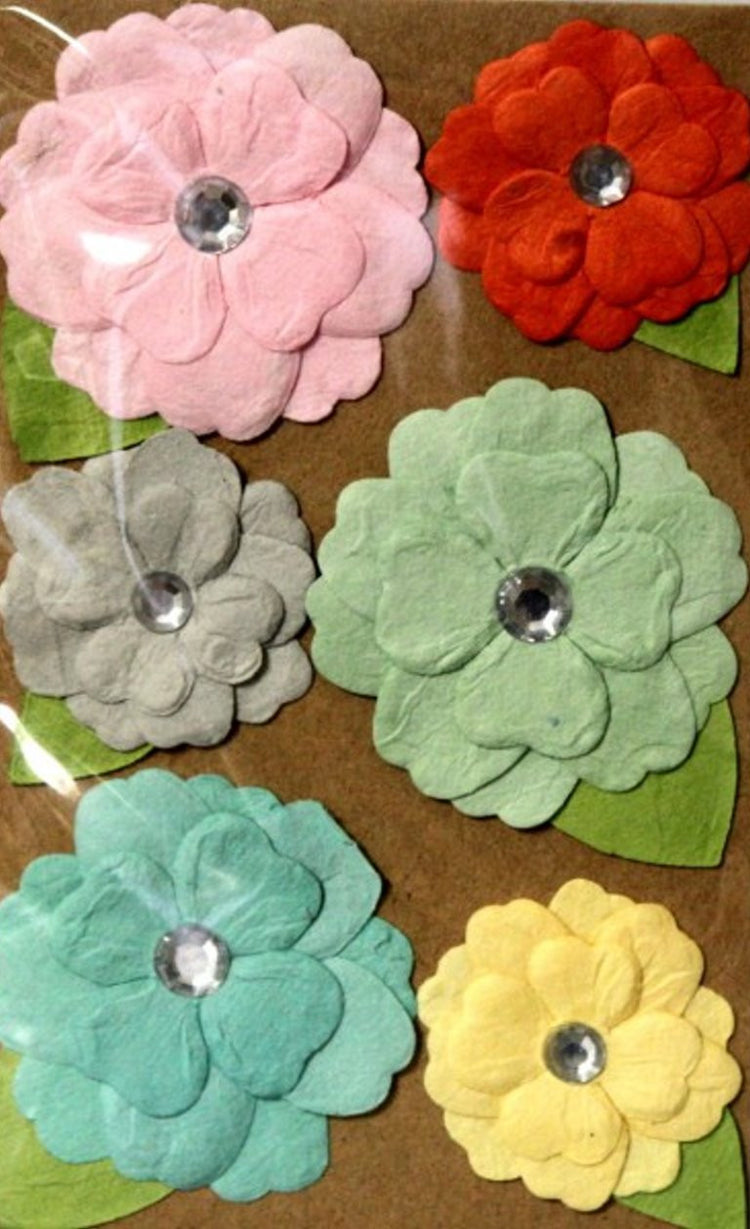 Songs of Spring Bling Flowers Variety Pack