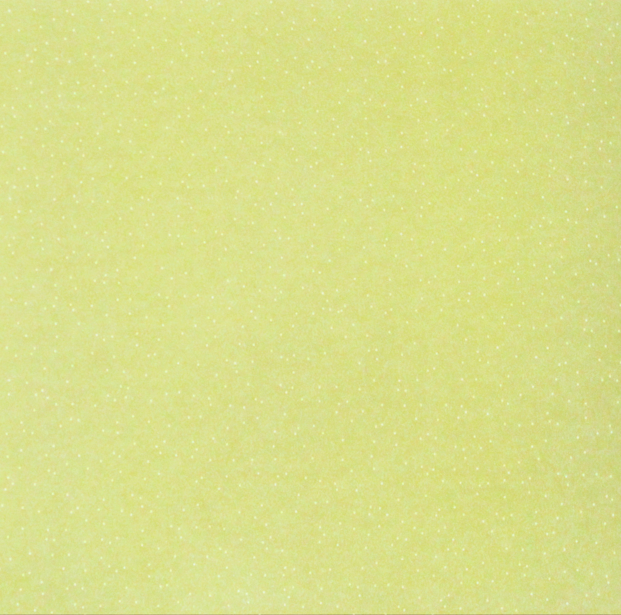 DCWV Moss Dots 12 x 12 Flat Scrapbook Paper