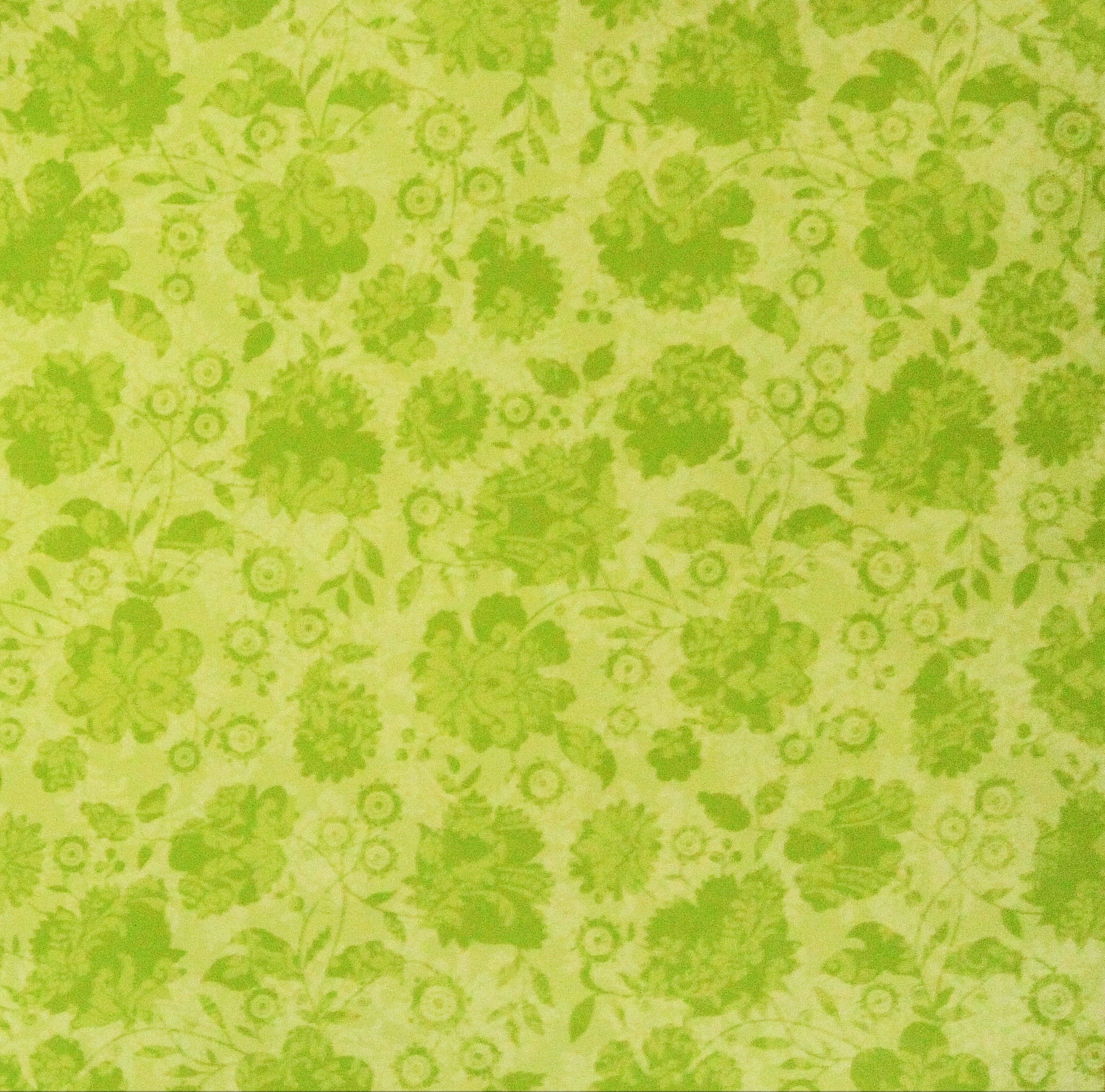 DCWV 12 X 12 Light Green Flowers Scrapbook Paper
