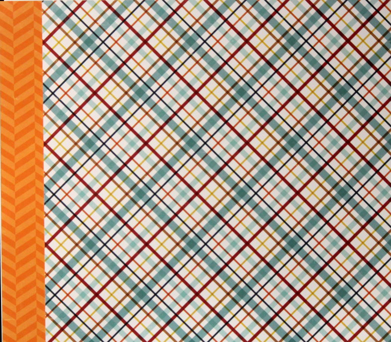 Echo Park 12 x 12 Bark Puppy Plaid Double-Sided Scrapbook Paper