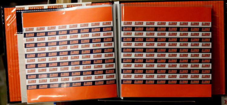 Officially Licensed University Of Illinois 8 x 8 Complete Scrapbook Album