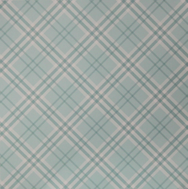 Echo Park 12 x 12 Hello Baby Boy Line Pattern Cardstock Paper