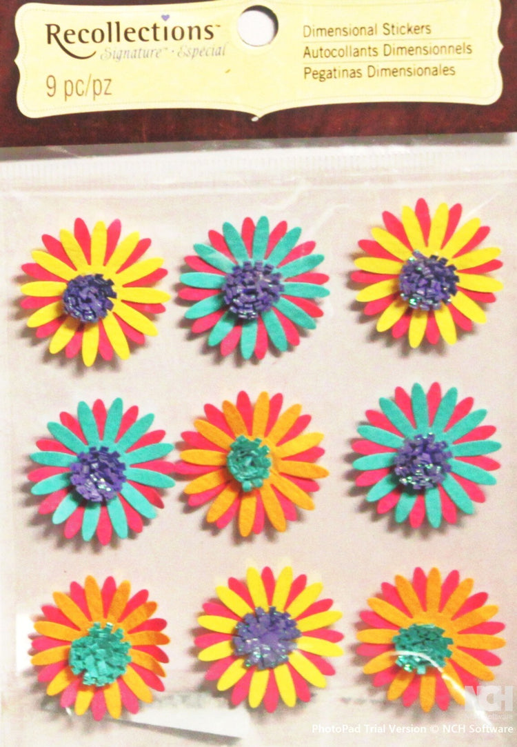 Recollections Colorful Flowers Dimensional Stickers - SCRAPBOOKFARE