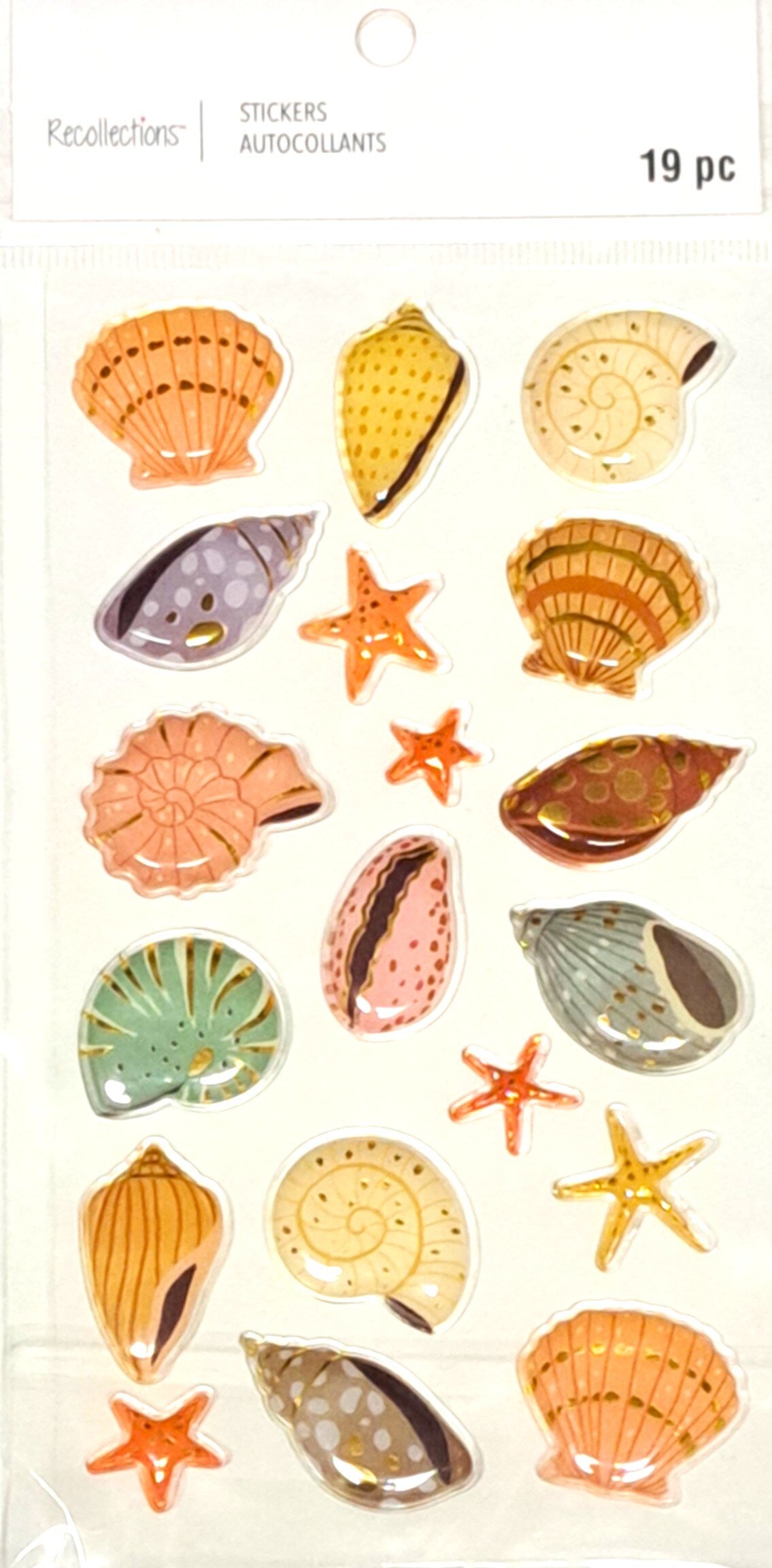 Recollections Seashells Clams And Starfish Dimensional Stickers - SCRAPBOOKFARE
