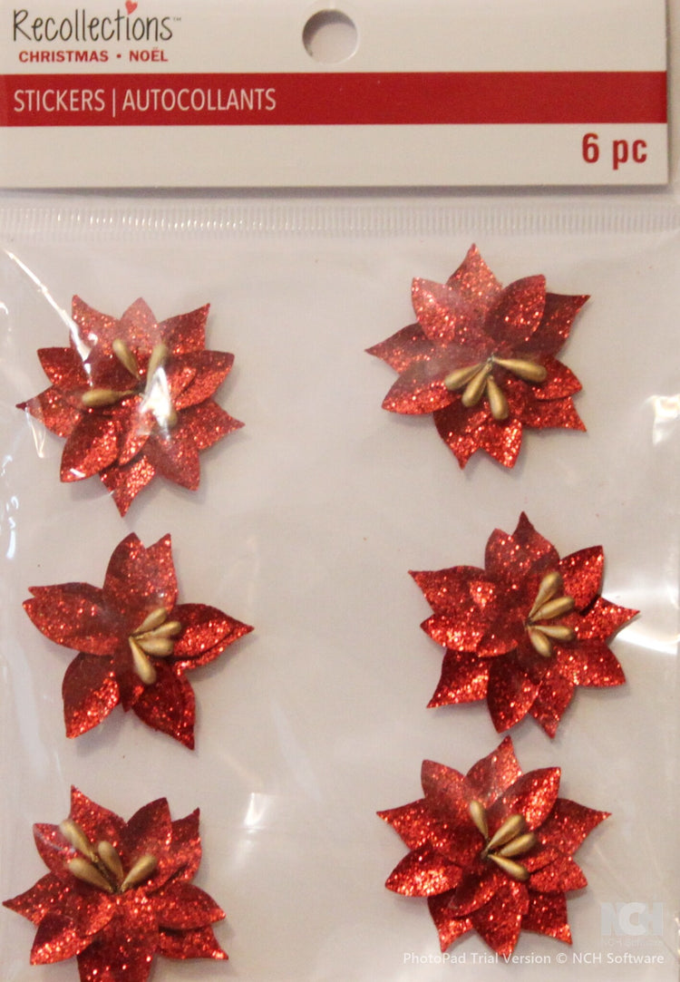 Recollections Christmas Poinsettias Dimensional Glitter Stickers - SCRAPBOOKFARE