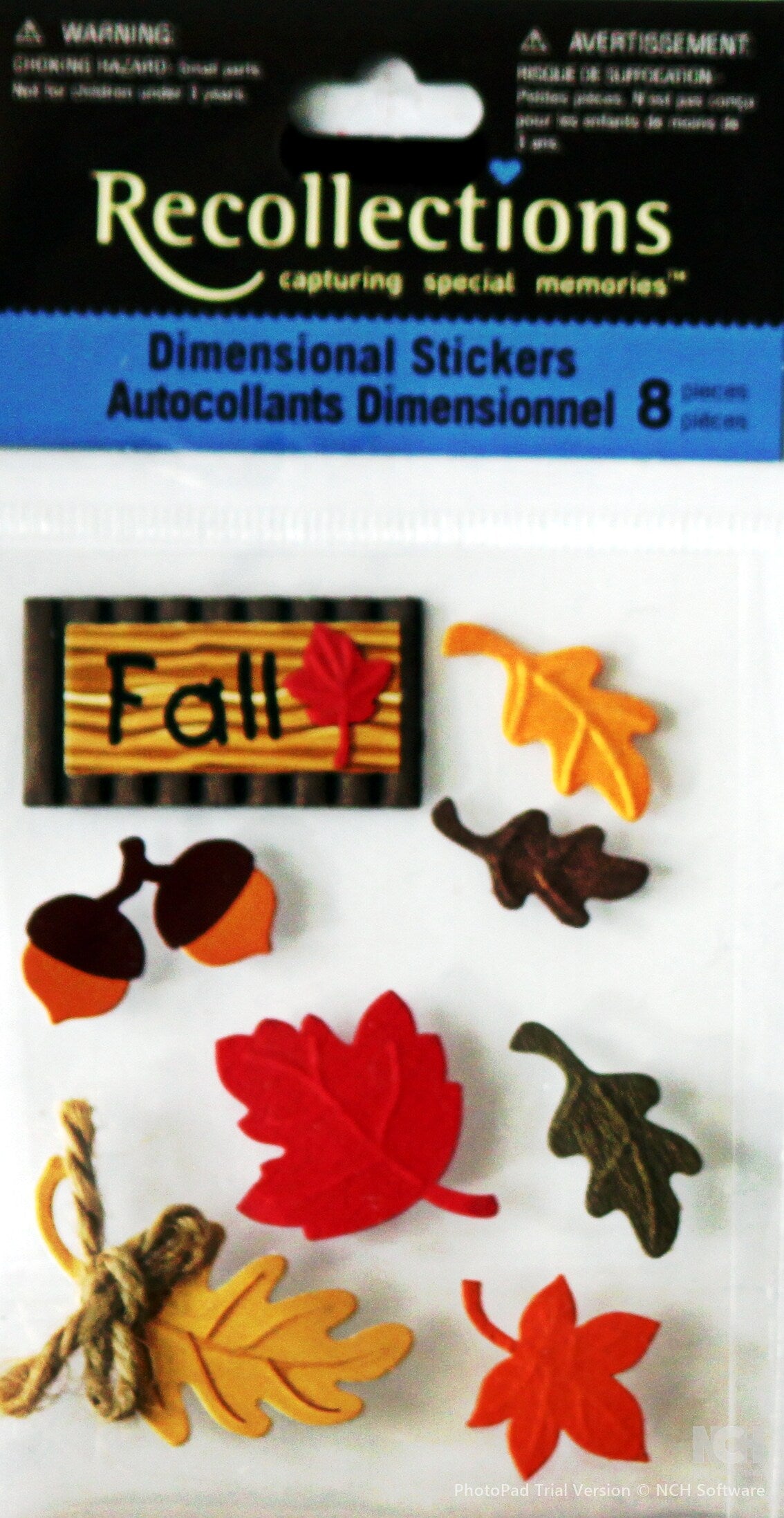 Recollections Fall Leaves Vintage Dimensional Stickers