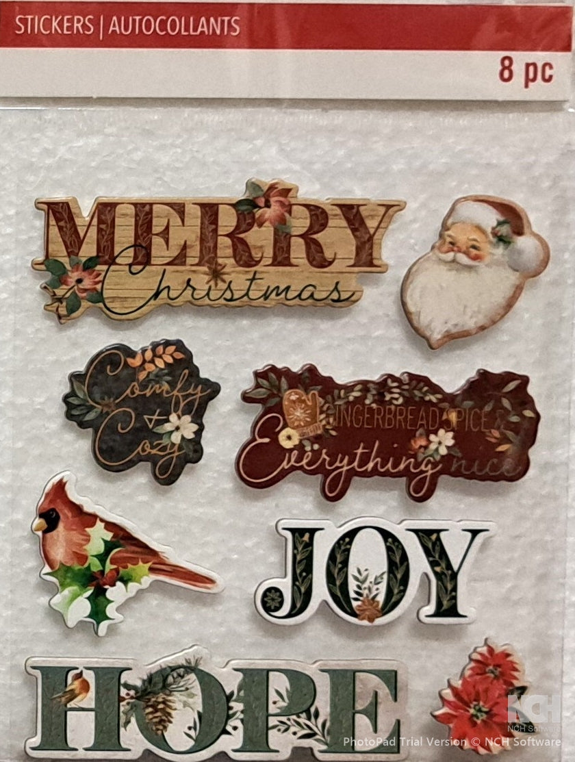 Recollections Christmas Icons & Sentiments Dimensional Chipboard Stickers