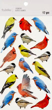 Recollections Colorful Birds Dimensional Stickers - SCRAPBOOKFARE