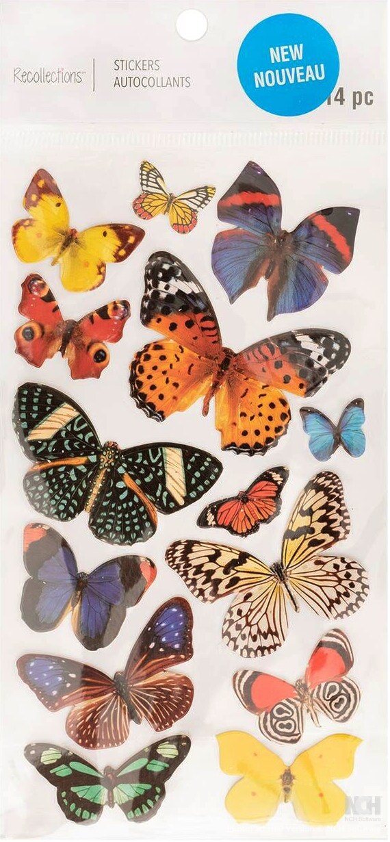 Recollections Butterflies Heat Embossed Cardstock Stickers - SCRAPBOOKFARE