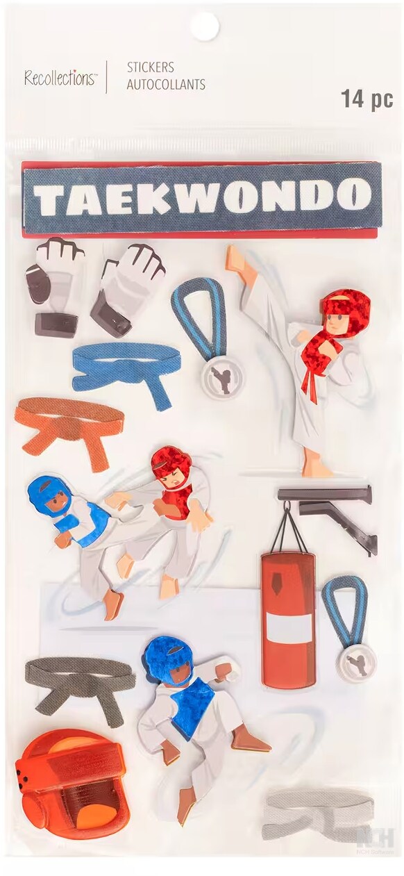 Recollections Taekwondo Dimensional Stickers - SCRAPBOOKFARE