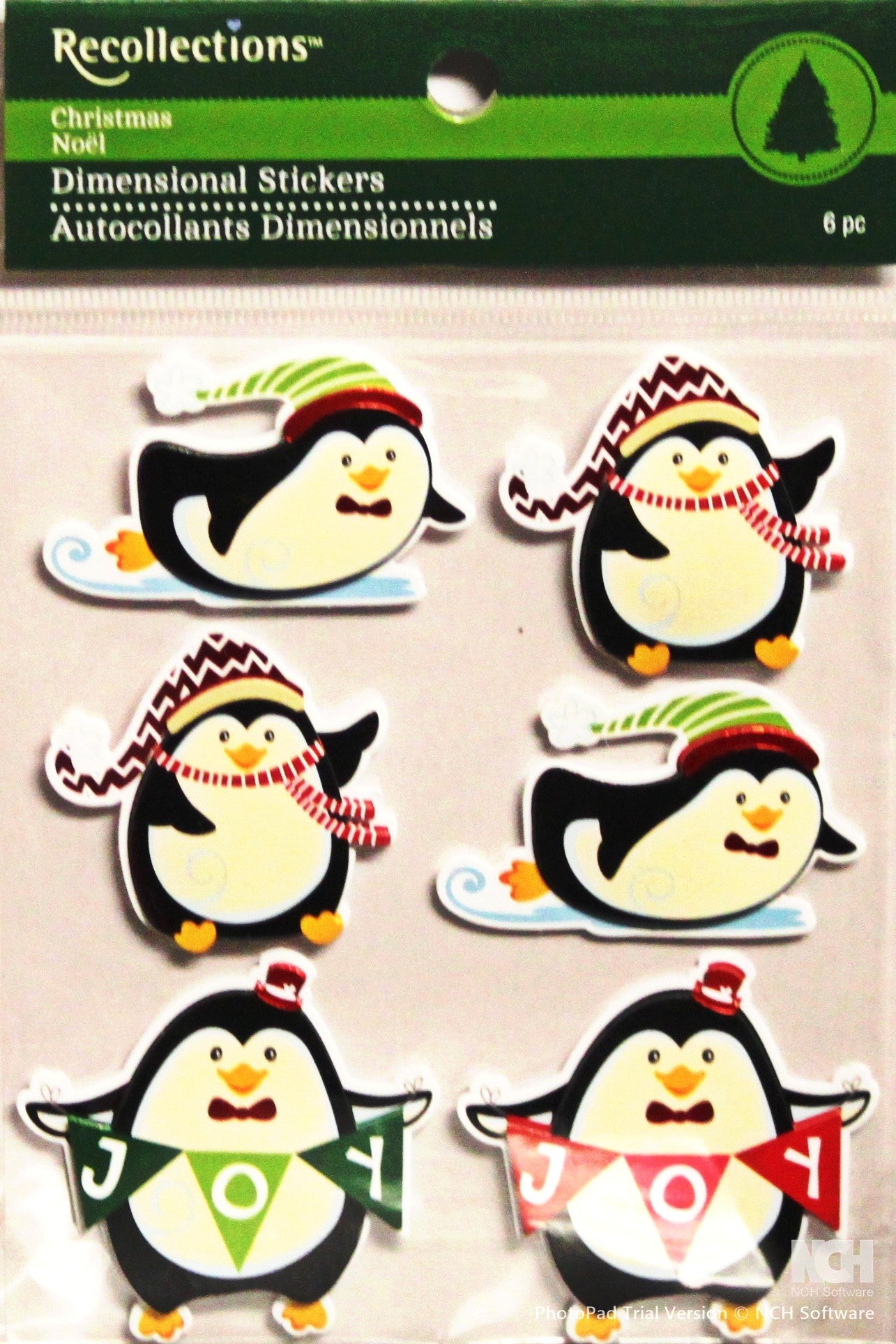 Recollections Holiday Penguins Dimensional Stickers