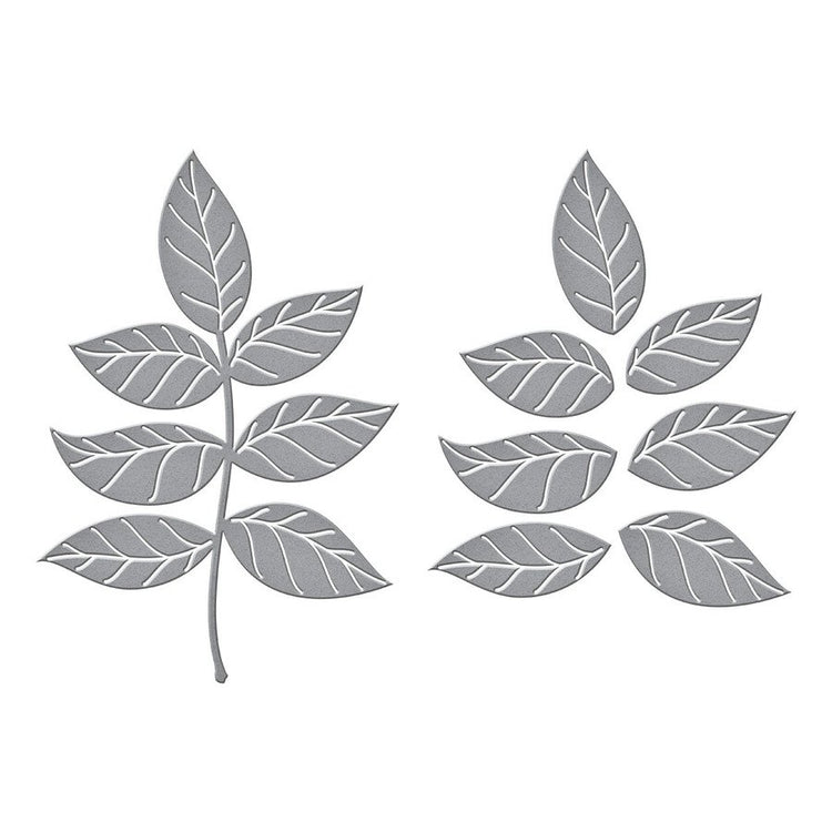 Spellbinders Leafy Sprig Cutting Dies