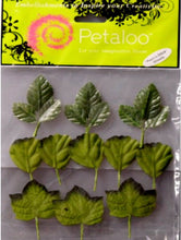Petaloo Small Cotton Green Tones Leaves - SCRAPBOOKFARE