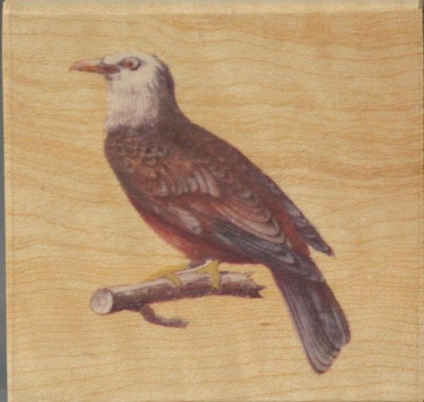 Nicole Crafts Bird Mounted Rubber Stamp - SCRAPBOOKFARE