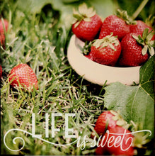 DCWV 12 x 12 Glossed Photo Sentiments Life Is Sweet Specialty Cardstock Scrapbook Paper - SCRAPBOOKFARE