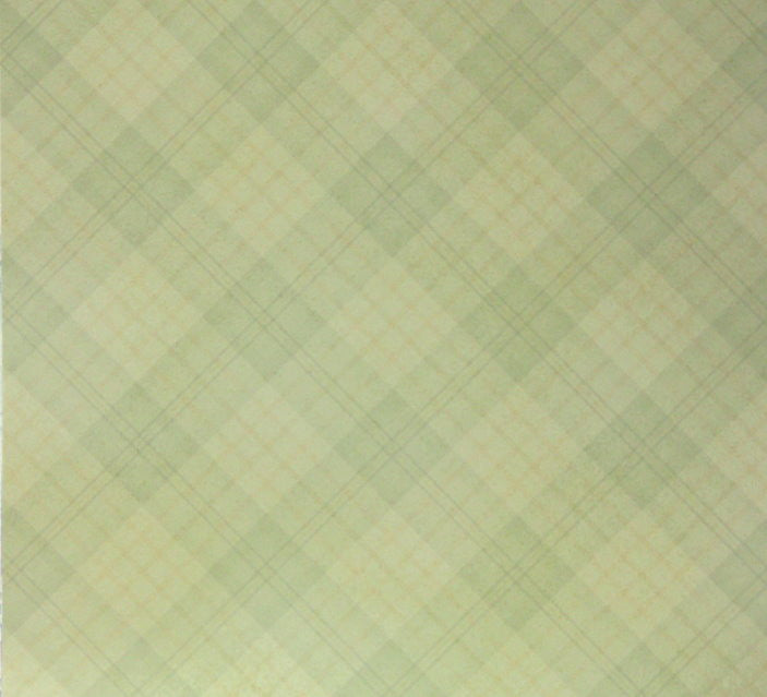 Light Green Plaid Printed 12 x 12 Scrapbook Paper