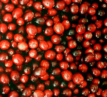 DCWV 12 X 12 Photoreal Essentials Red Cherries Scrapbook Paper - SCRAPBOOKFARE