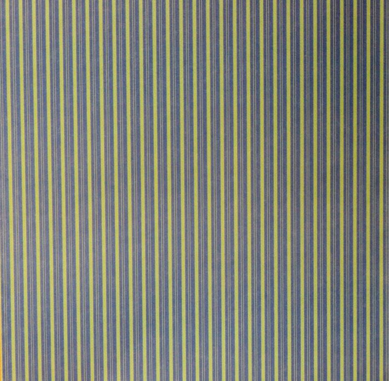 Provo Craft 12" x 12" Baby Boy Mini Stripes Coordinates Scrapbook Paper