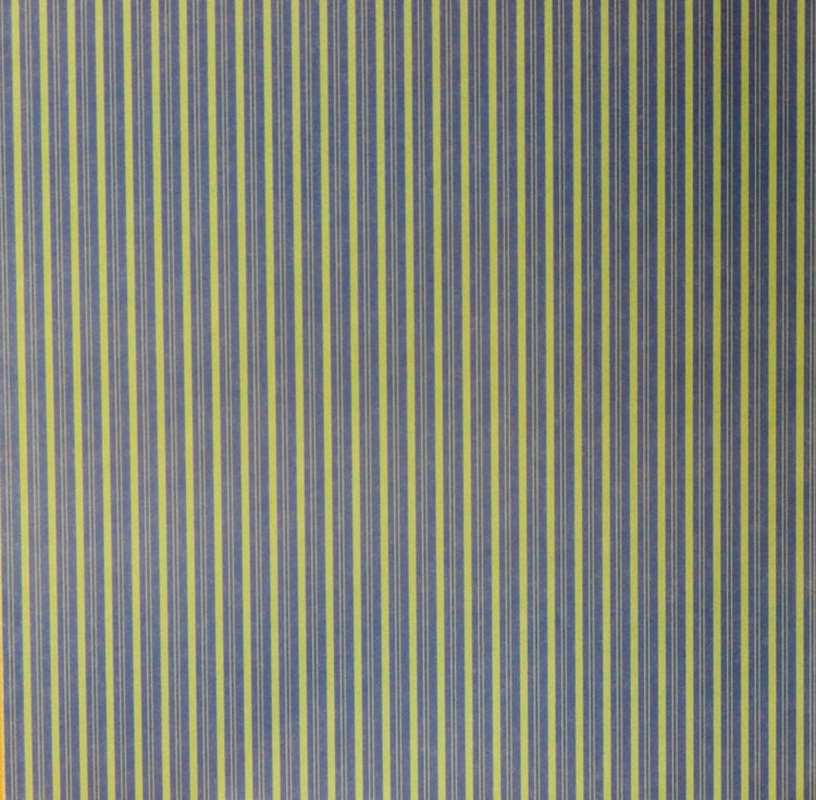 Provo Craft 12" x 12" Baby Boy Mini Stripes Coordinates Scrapbook Paper