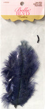 Bella BLVD Surf-N-Turf Feathers - SCRAPBOOKFARE