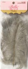 Bella BLVD Oyster Feathers - SCRAPBOOKFARE