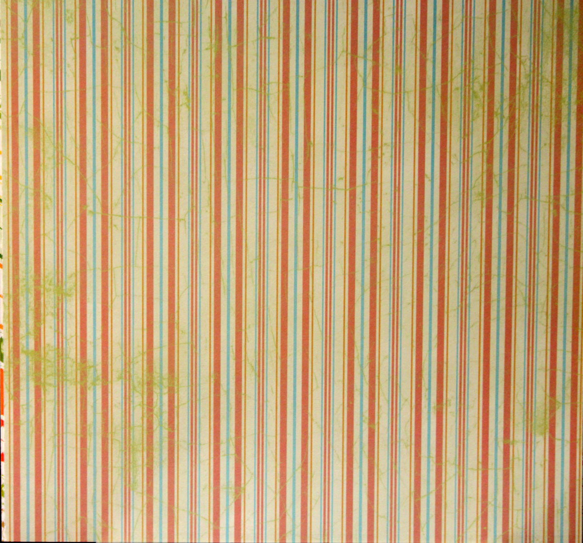 I Love Spring Stripes Coordinates Printed 12 x12 Scrapbook Paper - SCRAPBOOKFARE