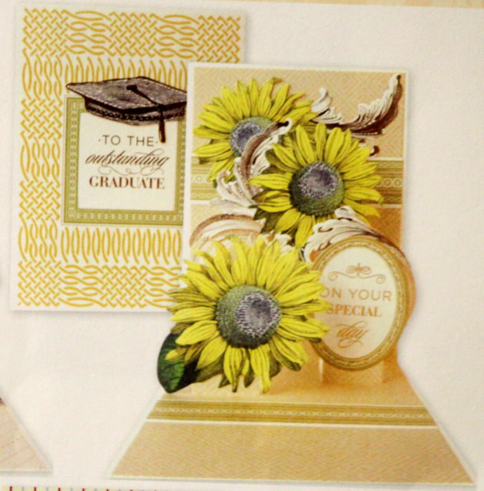 Anna Griffin Graduate Pop-up Card Making Kit