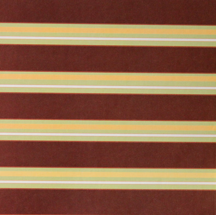 Brown Daisy Stripes Coordinates Printed 12 x 12 Scrapbook Paper