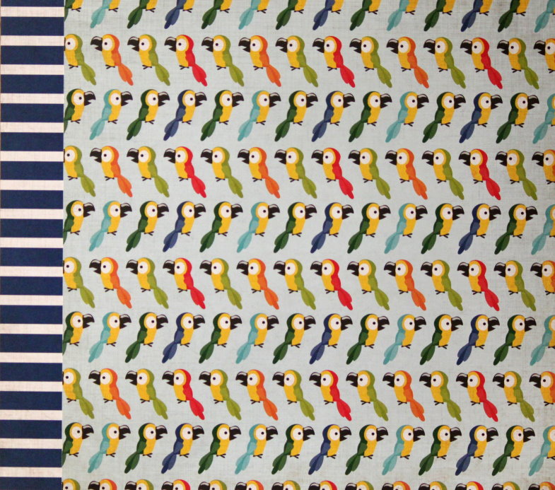 Echo Park 12 x 12 Jungle Safari Pretty Parrots Double-Sided Scrapbook Paper