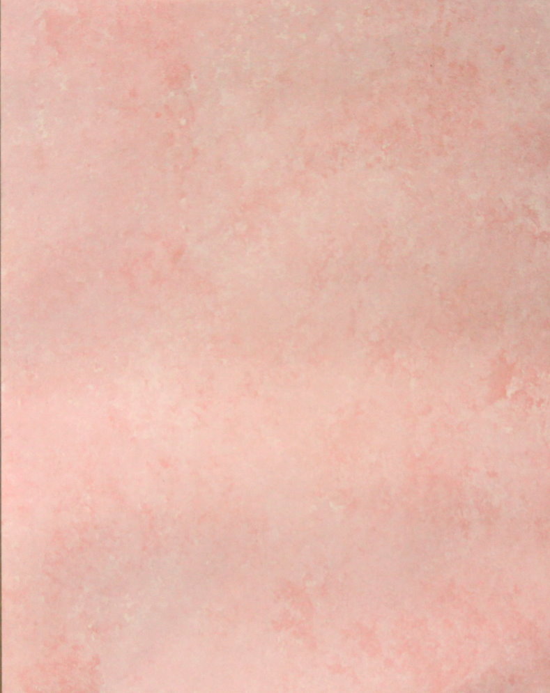 Provo Craft Debbie Crabtree Wedding Day 8.50 x 11 Pink Marble Patterned Scrapbook Paper
