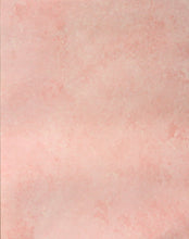 Provo Craft Debbie Crabtree Wedding Day 8.50 x 11 Pink Marble Patterned Scrapbook Paper