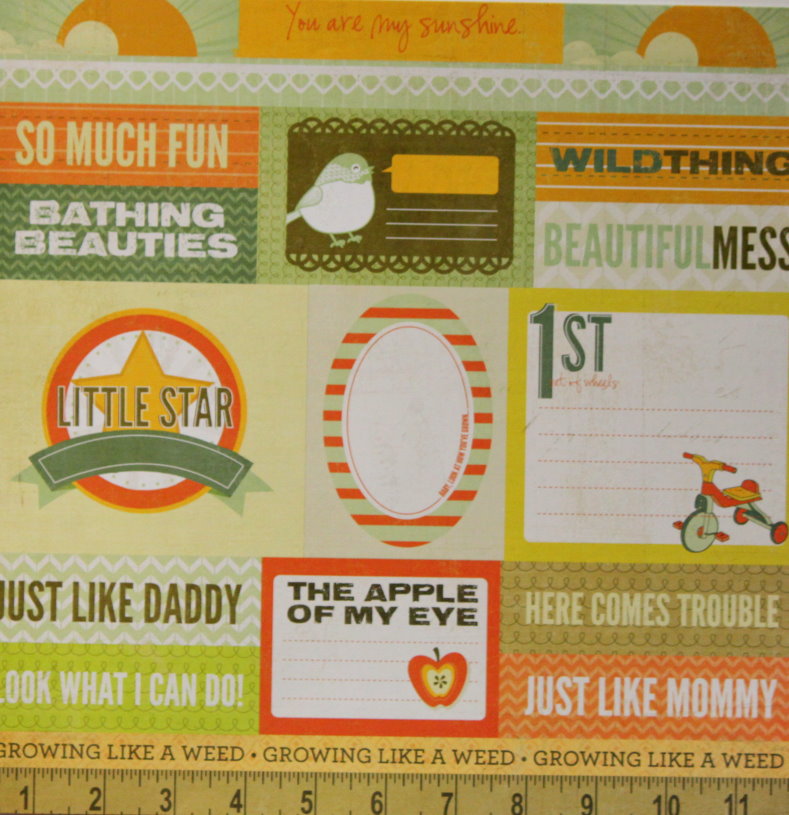 DCWV School Phrases Paper Sentiments & Icons Cut-out Embellishments