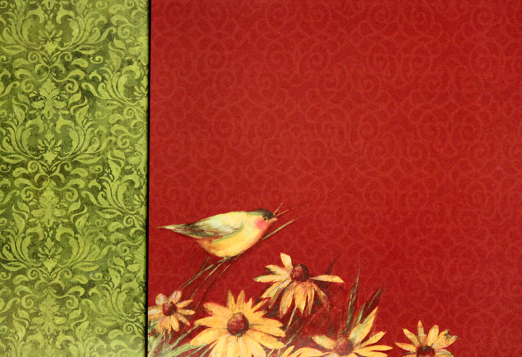 K & Company Susan Winget Meadow Collection Little Birdie 12 x 12 Double-Sided Light Cardstock Paper