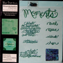 Magic Scraps 12 X 12 Monochromatics Moments Scrapbook Page Kit - SCRAPBOOKFARE