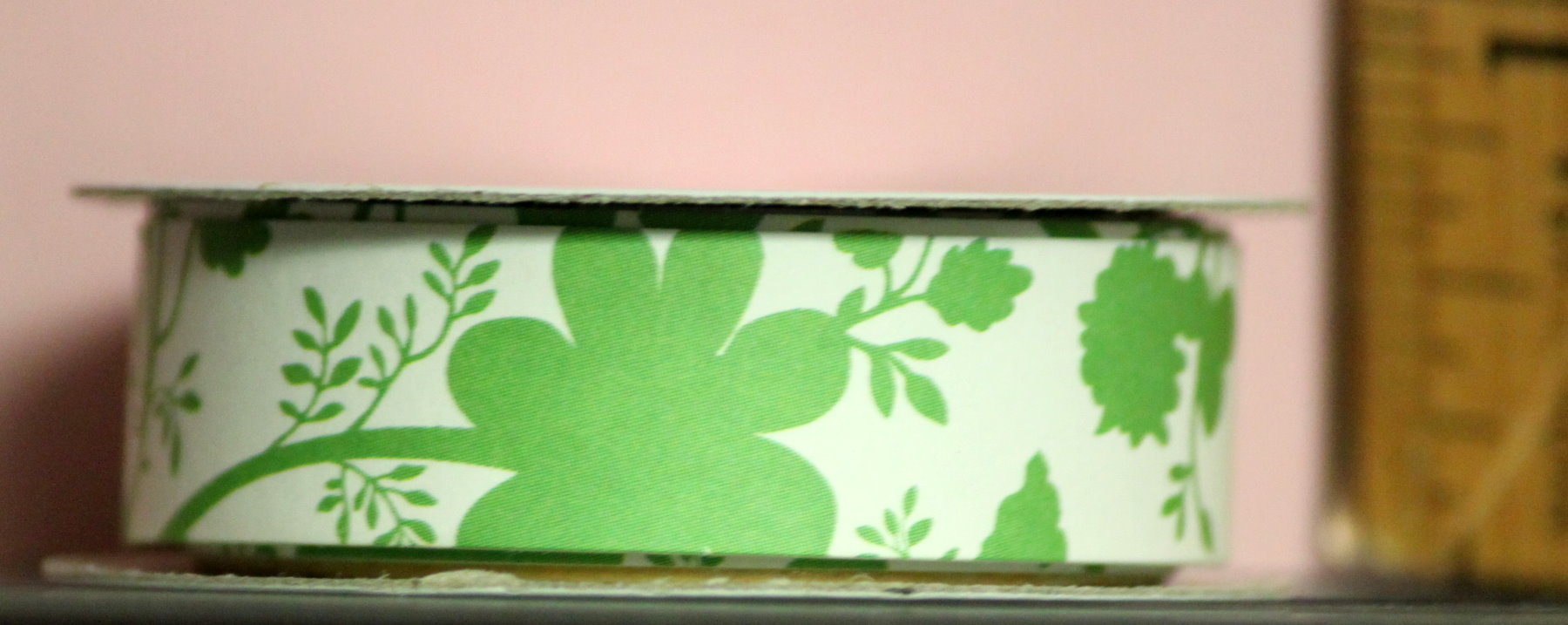 Anna Griffin Darcey Collection Green Flowers Border Sticker Trim