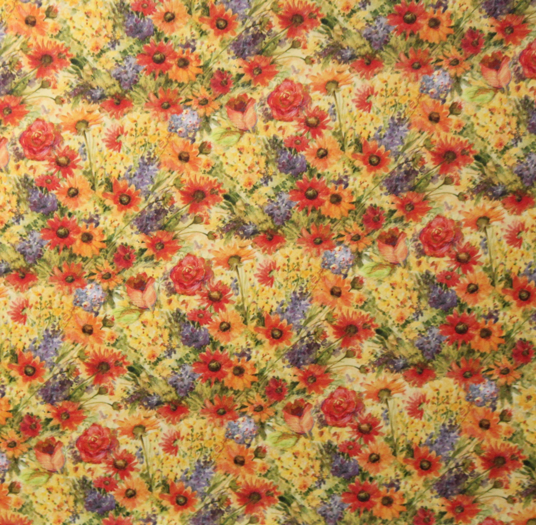 K & Company 12 x 12 Susan Winget Meadow Collection Double-Sided Light Cardstock Paper Colorful Wildflowers