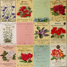 Recollections English Rose Garden Seed Packs Die-cuts