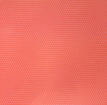 Pebbles 12 x 12 Spring Just Rosy Scrapbook Paper