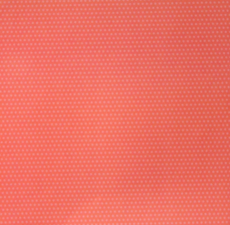 Pebbles 12 x 12 Spring Just Rosy Scrapbook Paper
