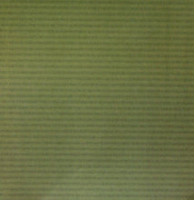 Pebbles 12 x 12 Spring Chennile Scrapbook Paper