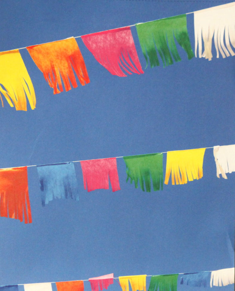 COLORBOK 8.5 in x 11 in Birthday Design Paper Fringe Pennants