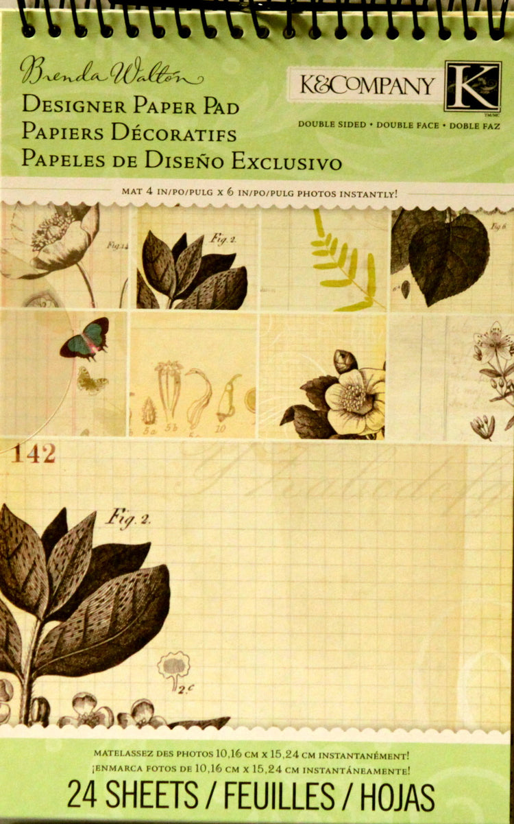 K & Company Brenda Walton Floral & Fauna Ledger Designer Paper Pad