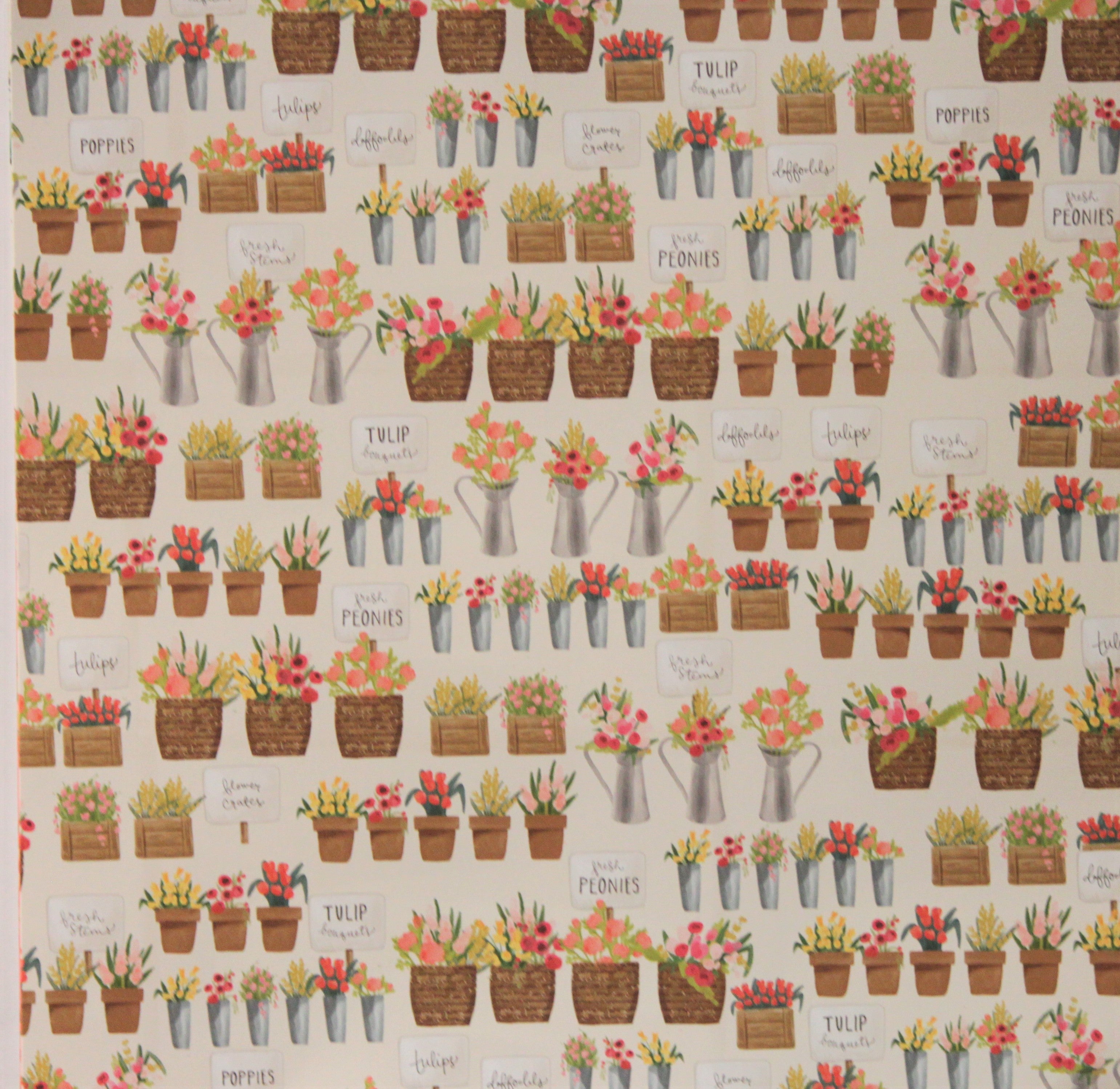 Carta Bella 12 x 12 Flower Market Flower Pots Cardstock Paper